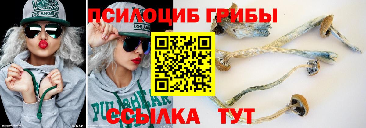 Псилоцибиновые грибы мицелий  Вход с VPN  Электросталь 